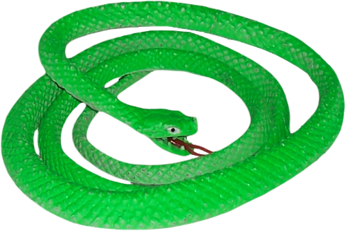 Green Snake Image Transparent PNG Image