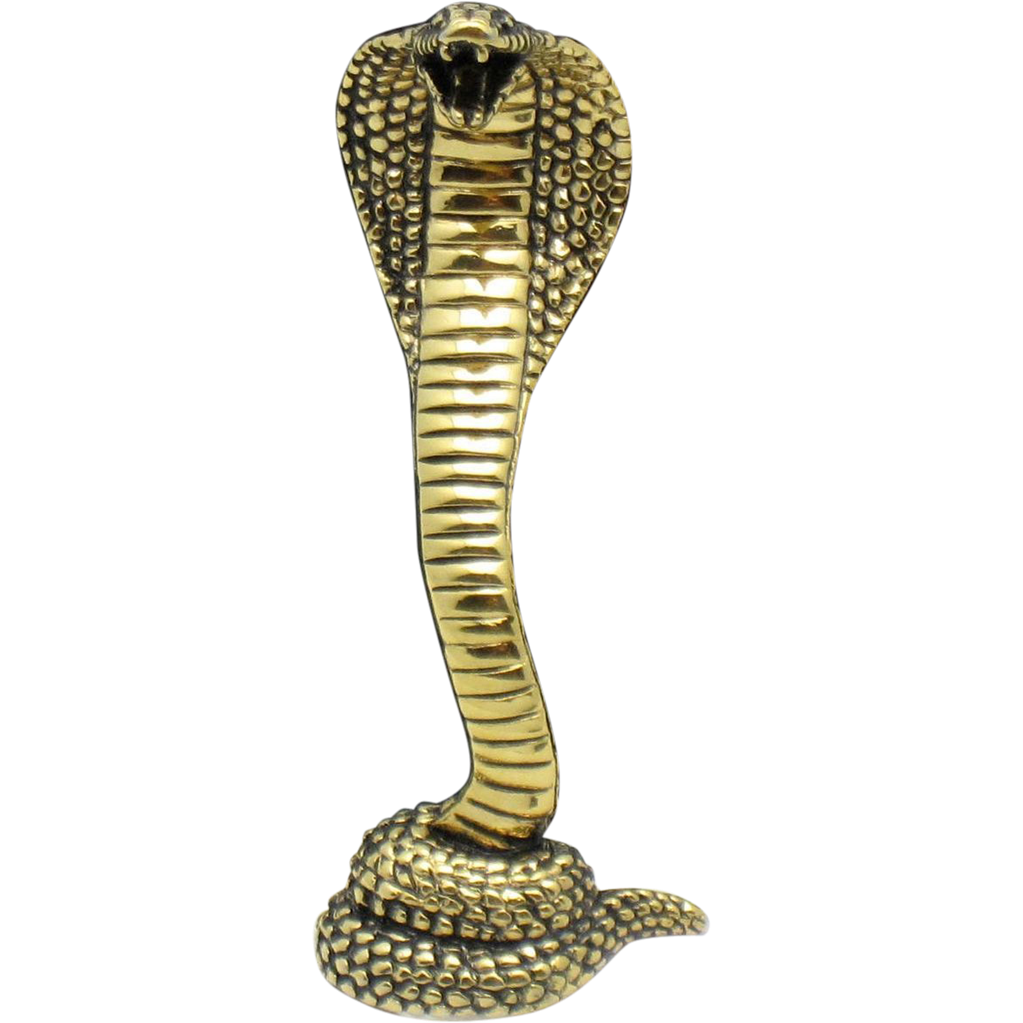 Cobra Snake Hd Transparent PNG Image