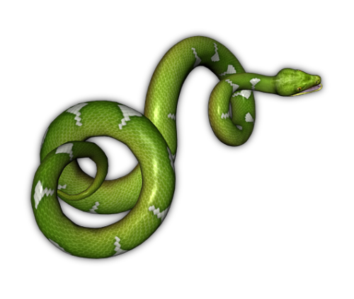 Green Snake Transparent Background Transparent PNG Image