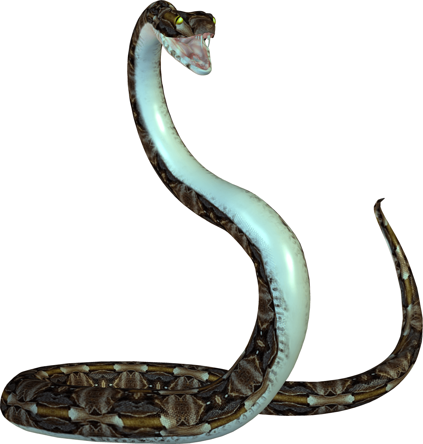 Snake Png Image Picture Download  Transparent PNG Image