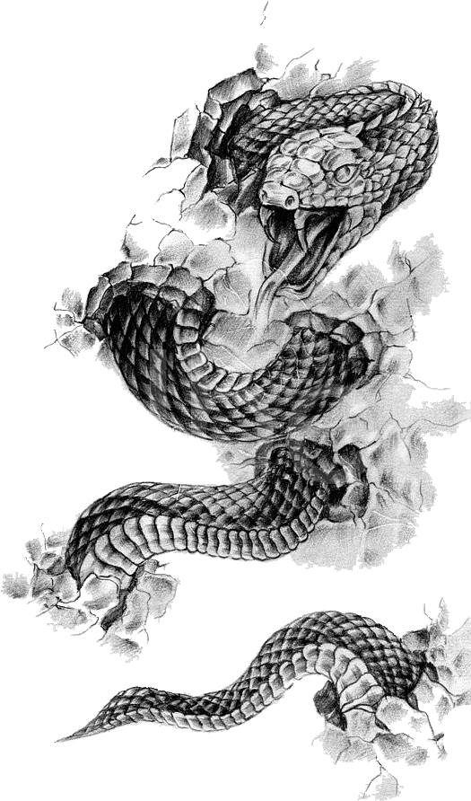 Tattoo Flash Rattlesnake Snake Black-And-Gray Free Download Image Transparent PNG Image