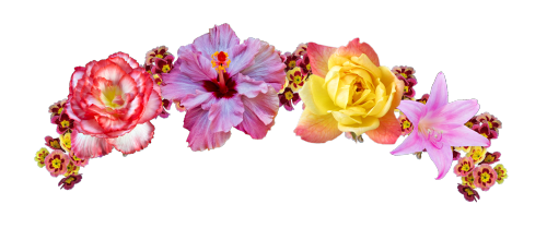 Snapchat Flower Crown Picture Transparent PNG Image