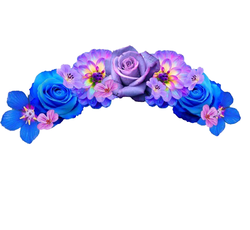 Snapchat Flower Crown Transparent Background Transparent PNG Image