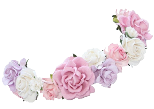 Snapchat Flower Crown Photos Transparent PNG Image