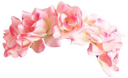 Snapchat Flower Crown Transparent PNG Image