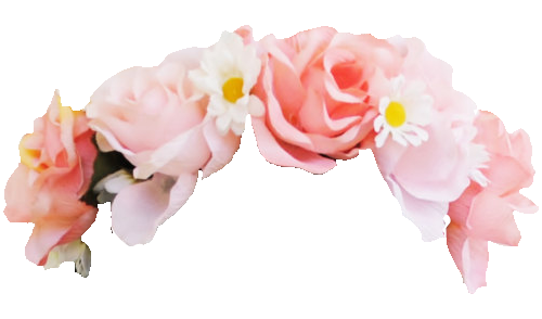 Snapchat Flower Crown Photo Transparent PNG Image