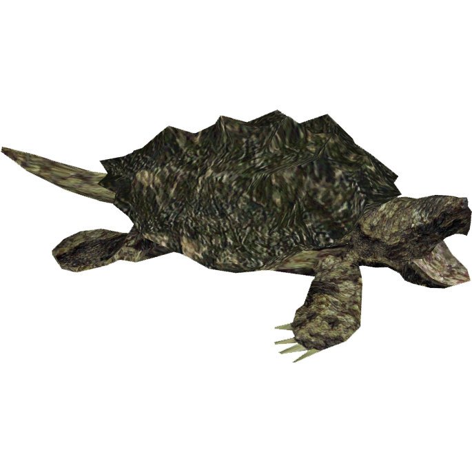 Snapping Turtle Picture Transparent PNG Image