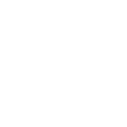 Snowflake Png Image Transparent PNG Image