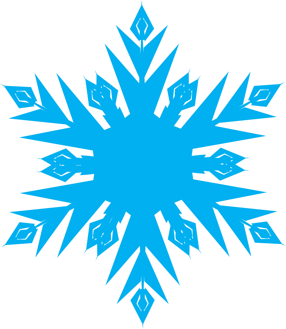 Frozen Snowflake Transparent PNG Image