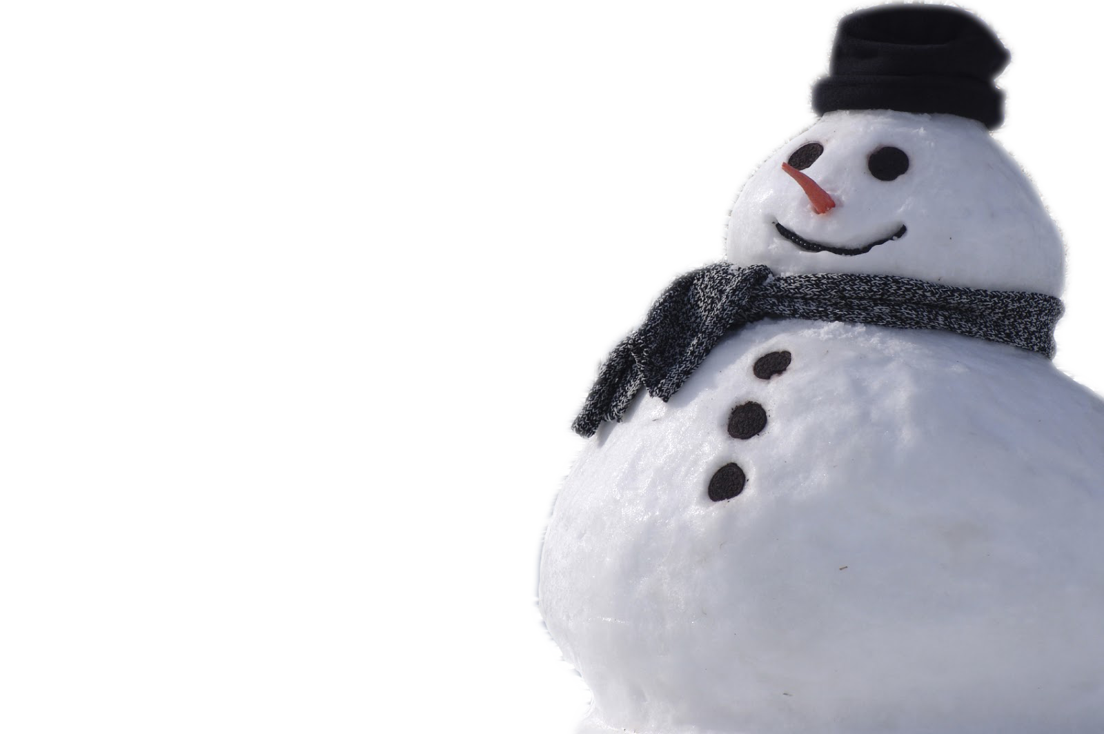 Real Snowman Transparent PNG Image