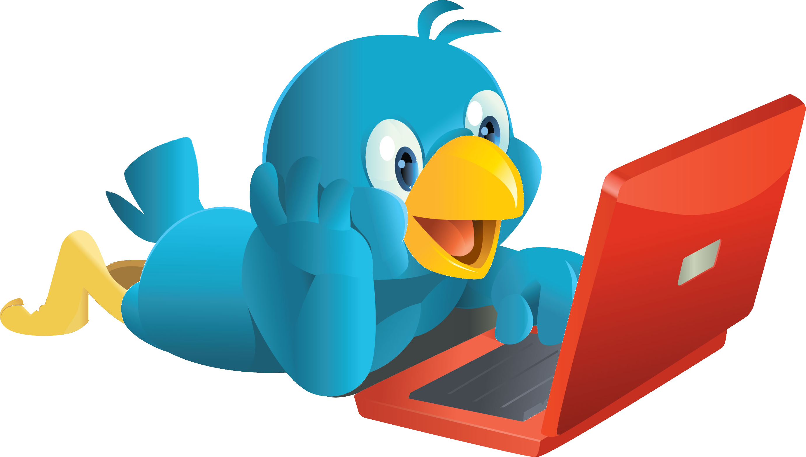 Networking Service Media Twitter User Social Bird Transparent PNG Image