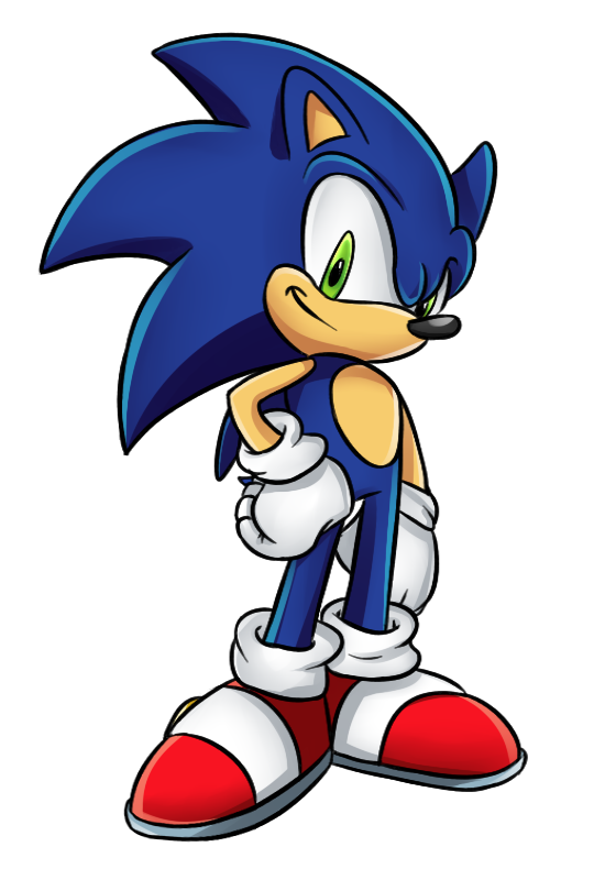 Sonic Art Vertebrate Forces Spinball The Hedgehog Transparent PNG Image