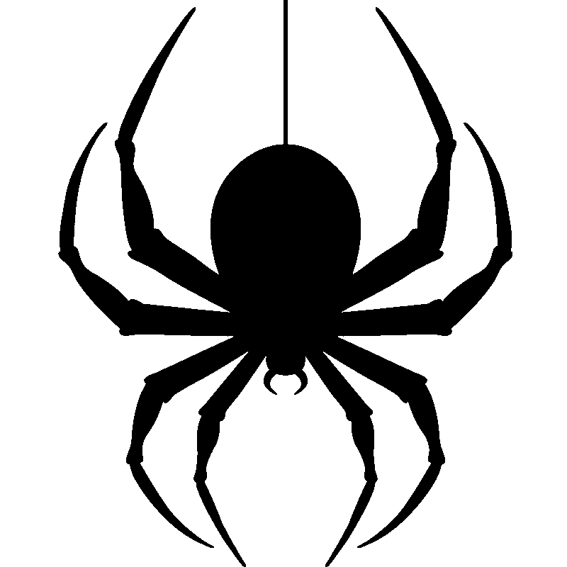 Hanging Spider Transparent Image Transparent PNG Image