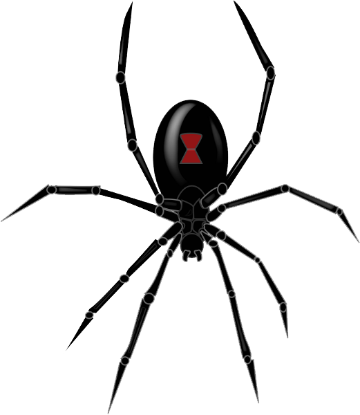 Black Widow Spider Clipart Transparent PNG Image