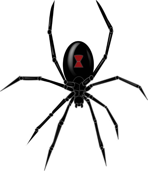 Spider File Transparent PNG Image