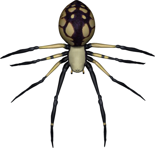 Spider Transparent Image Transparent PNG Image