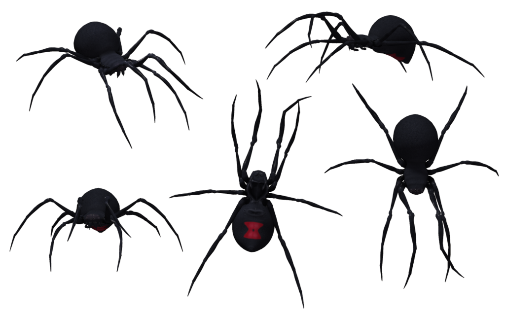 Black Widow Spider Transparent PNG Image