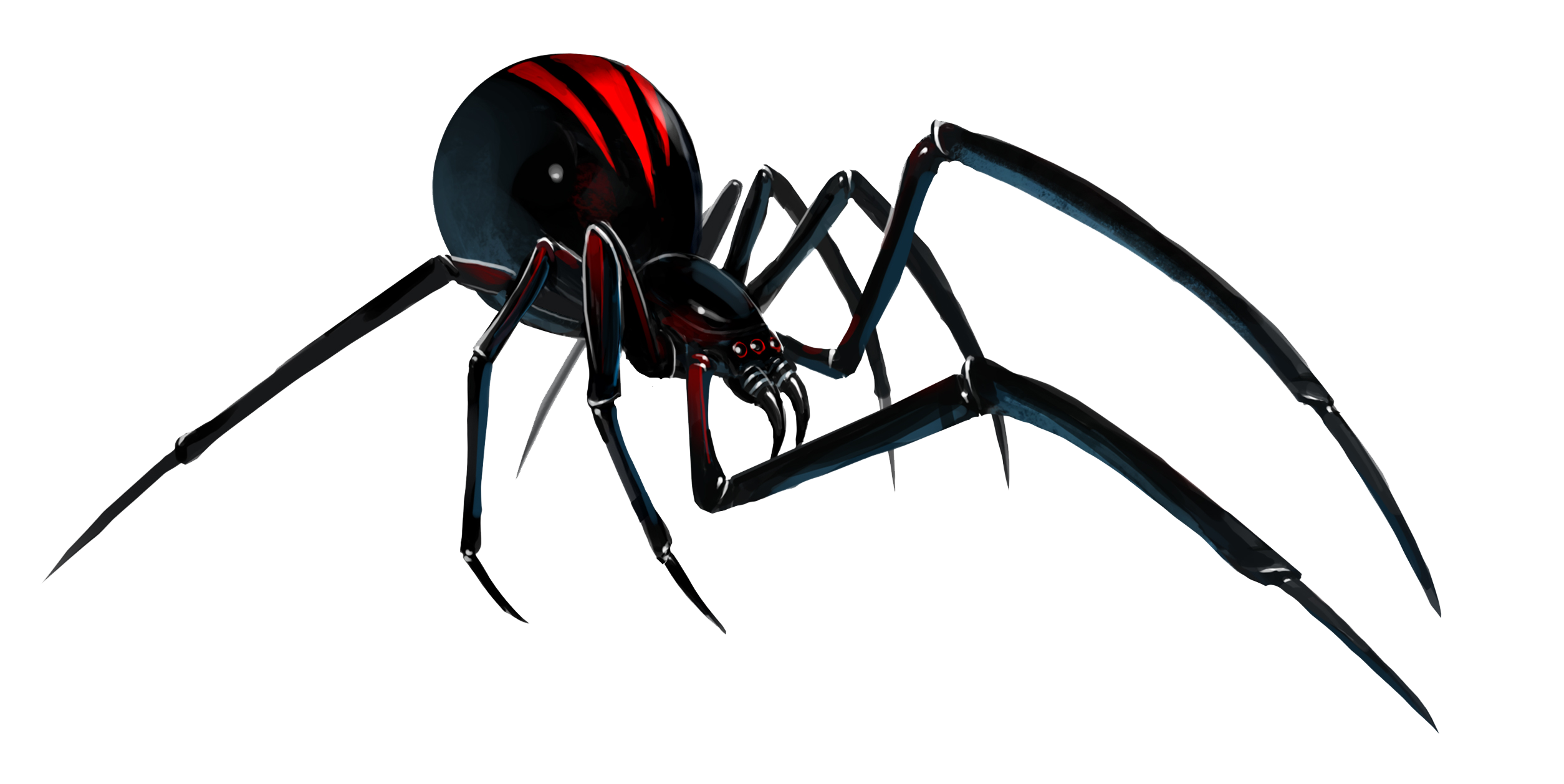 Black Widow Spider File Transparent PNG Image