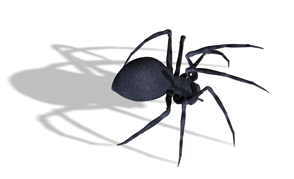 Black Widow Spider Png Image Transparent PNG Image