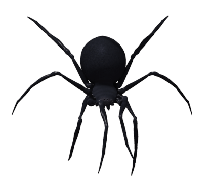 Black Widow Spider Png Image Transparent PNG Image