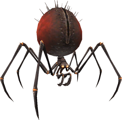 Spider Transparent Transparent PNG Image