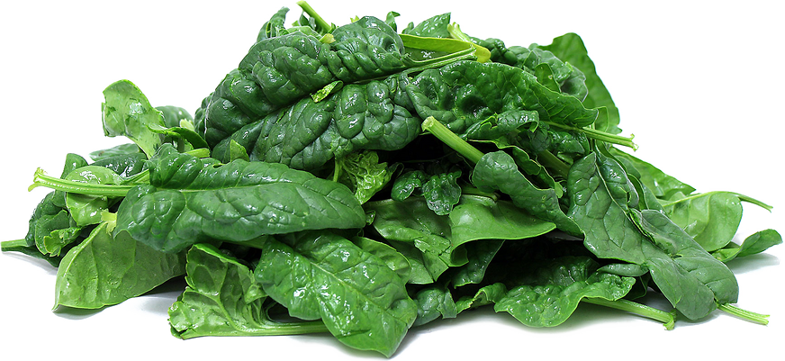 Fresh Green Spinach PNG Free Photo Transparent PNG Image