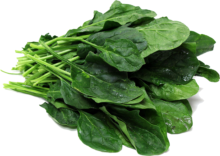 Fresh Green Spinach Free Download PNG HD Transparent PNG Image