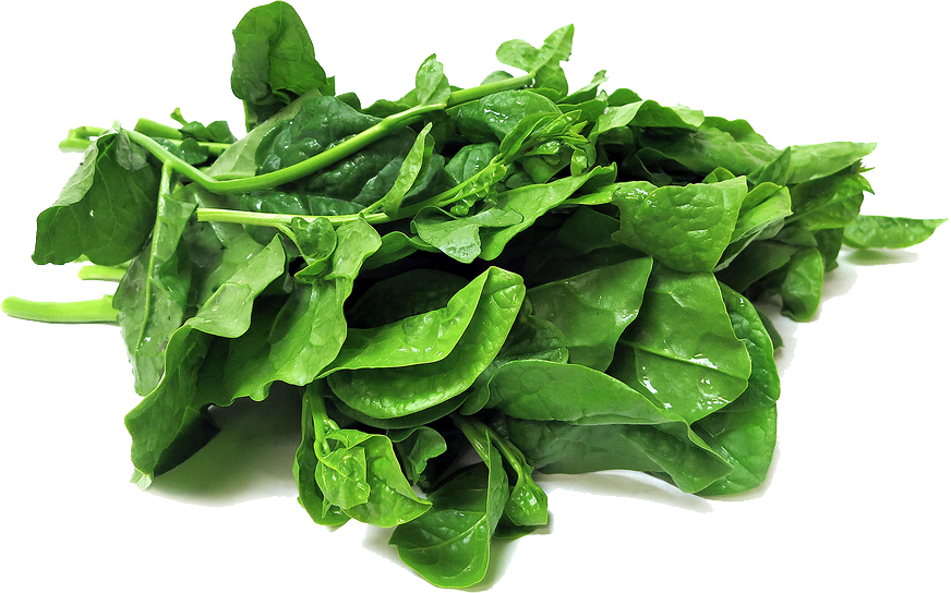 Fresh Green Photos Spinach Free PNG HQ Transparent PNG Image