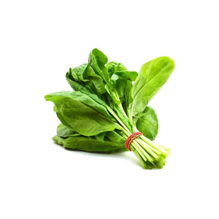 Fresh Green Spinach Download Free Image Transparent PNG Image