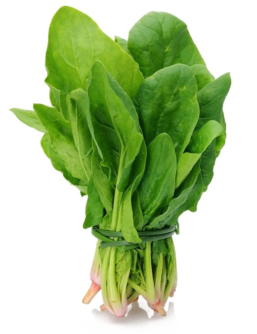 Fresh Green Spinach PNG Image High Quality Transparent PNG Image