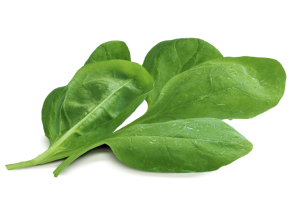 Leaves Green Spinach Free Photo Transparent PNG Image