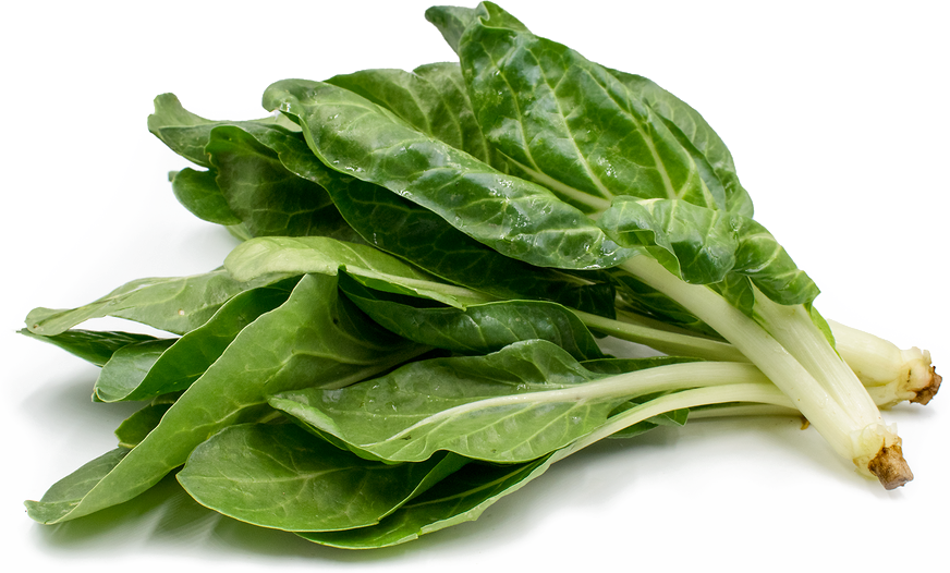 Photos Leaves Green Spinach Free Download PNG HQ Transparent PNG Image