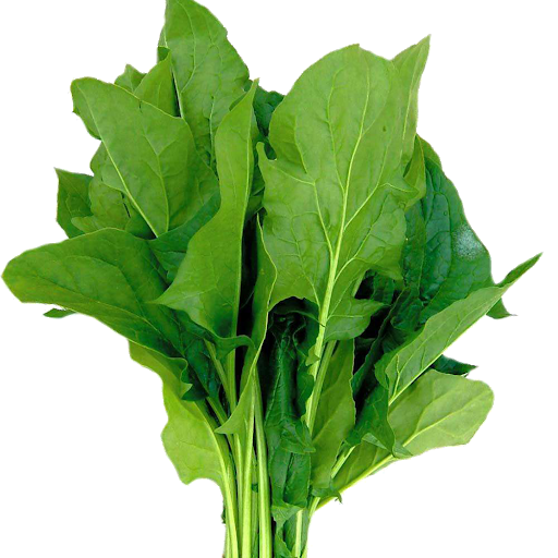 Leaves Green Spinach Free Clipart HQ Transparent PNG Image