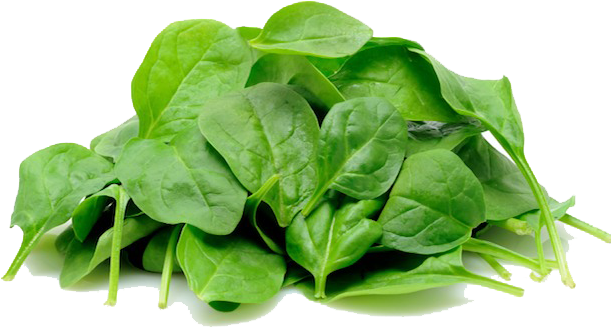 Green Organic Spinach HD Image Free Transparent PNG Image