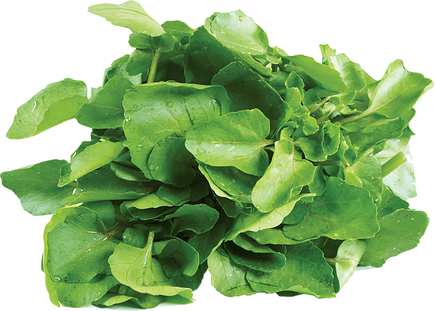 Green Organic Spinach Download HQ Transparent PNG Image