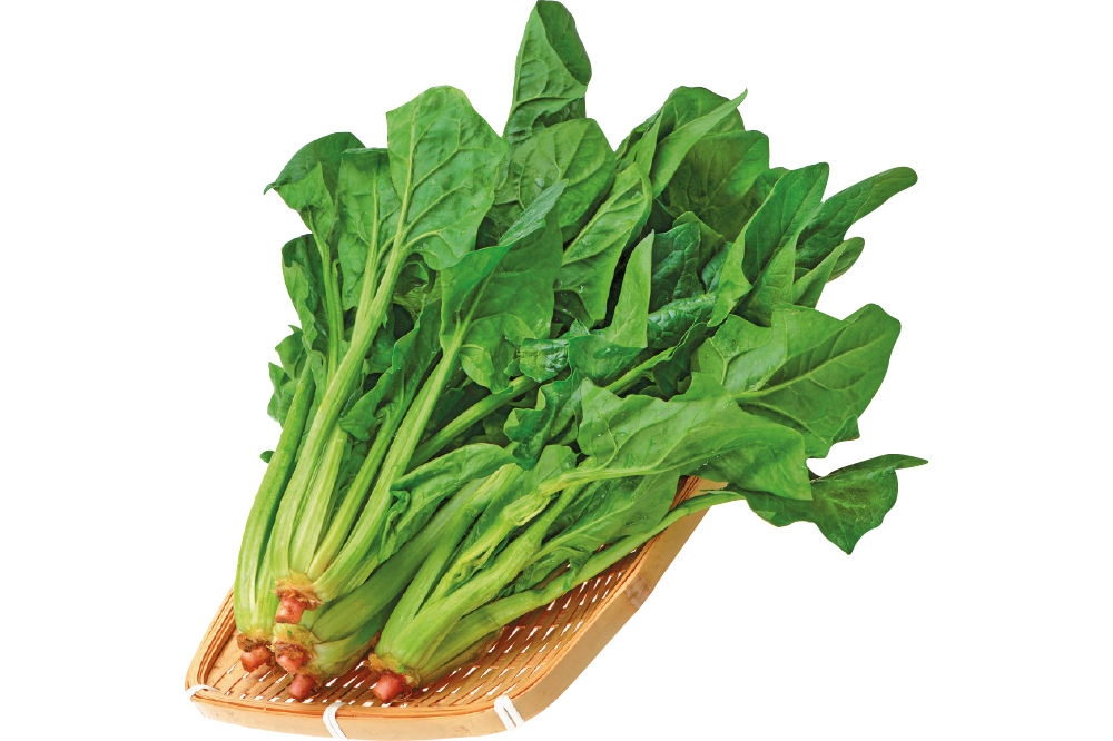 Chinese Spinach Free Download PNG HQ Transparent PNG Image