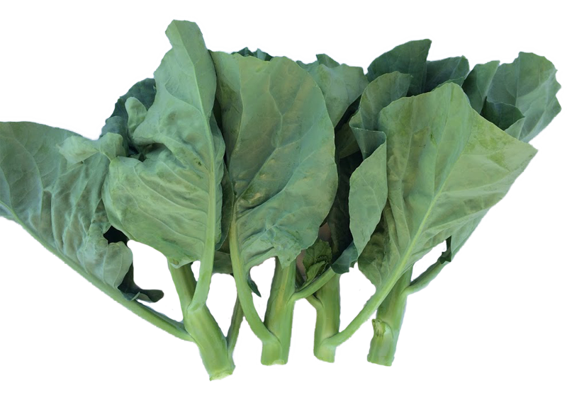 Green Chinese Spinach Free PNG HQ Transparent PNG Image