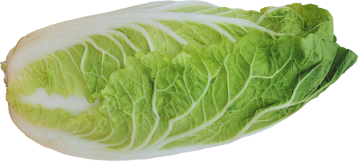 Organic Chinese Spinach Free Clipart HQ Transparent PNG Image