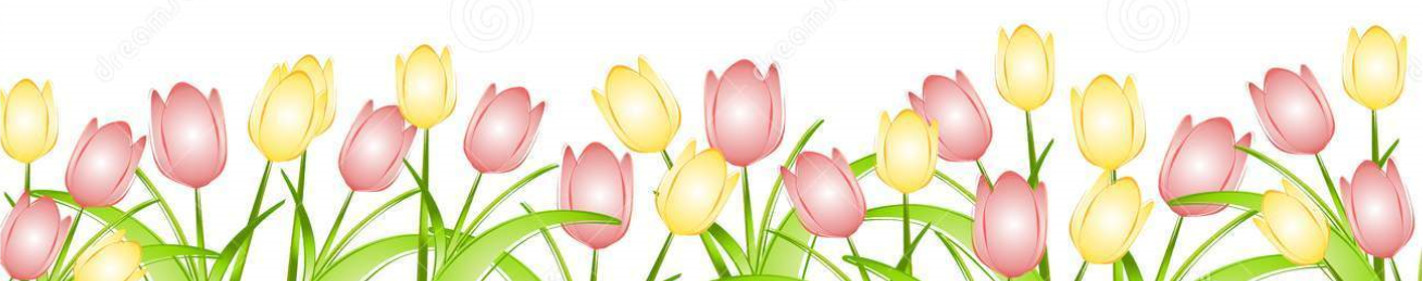 Spring Png Images Transparent PNG Image