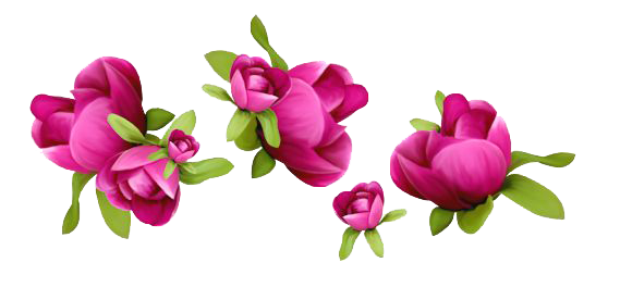 Spring Transparent Transparent PNG Image