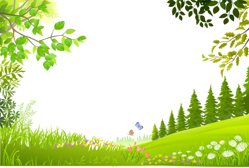 Spring Meadow Free HD Image Transparent PNG Image