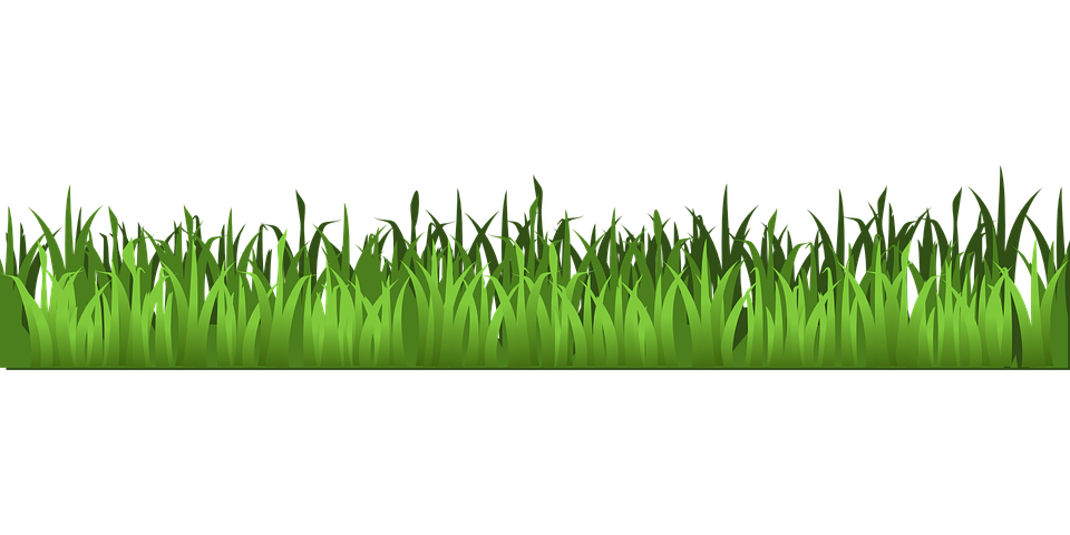 Spring Meadow HQ Image Free Transparent PNG Image