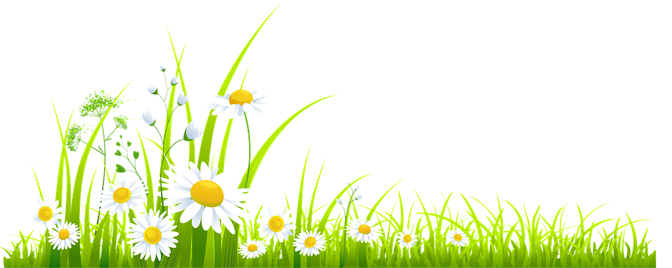 Spring Pic Meadow HQ Image Free Transparent PNG Image