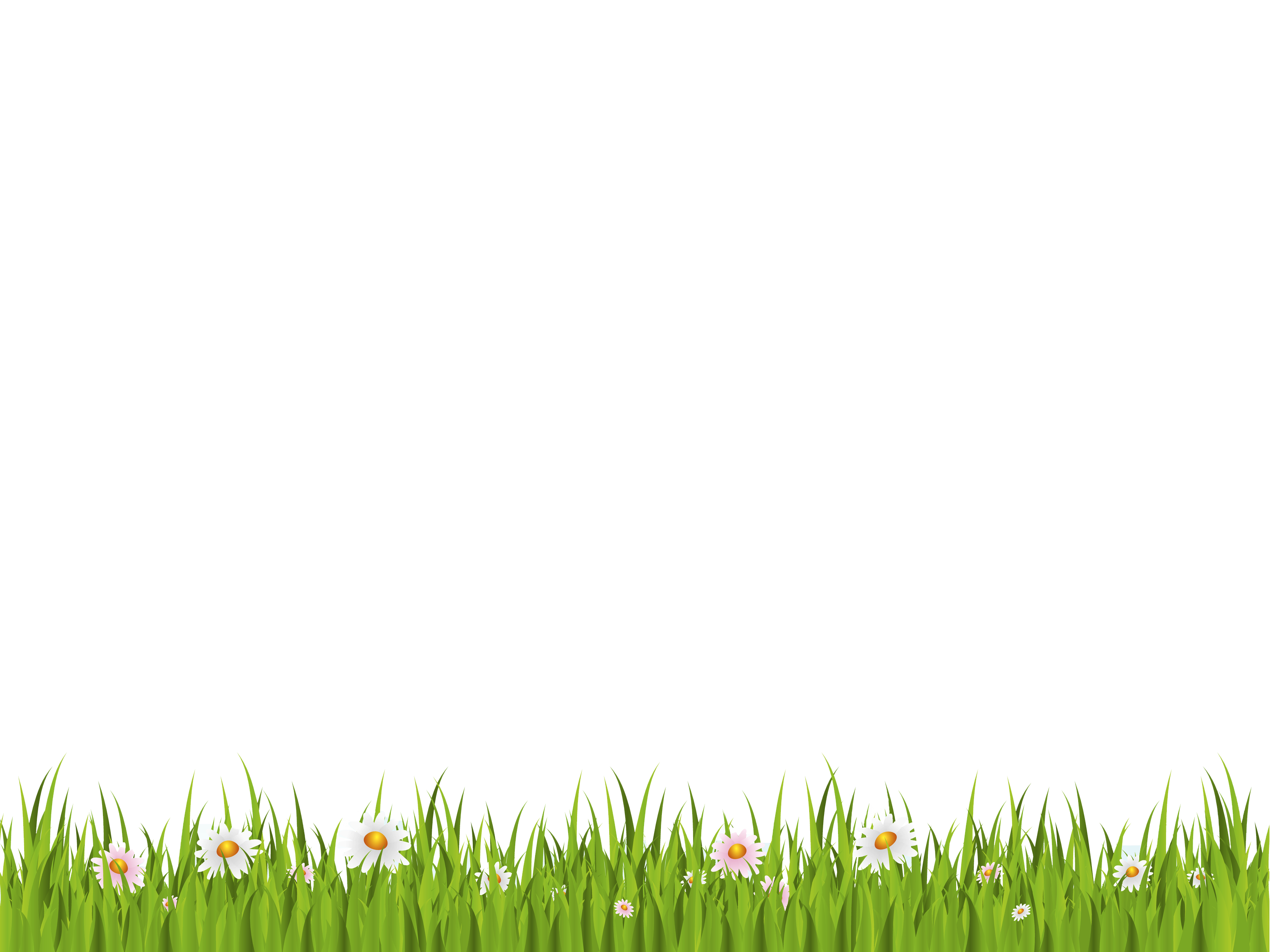 Spring Meadow Picture PNG Download Free Transparent PNG Image