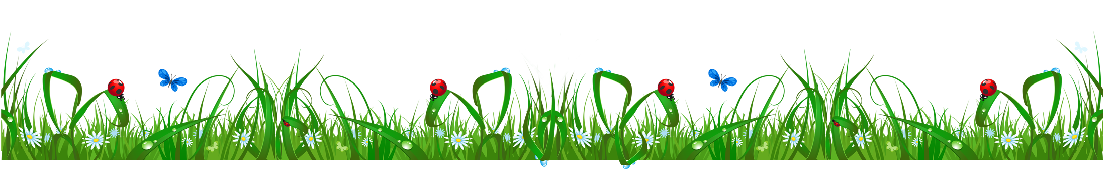 Spring Meadow Download Free Image Transparent PNG Image