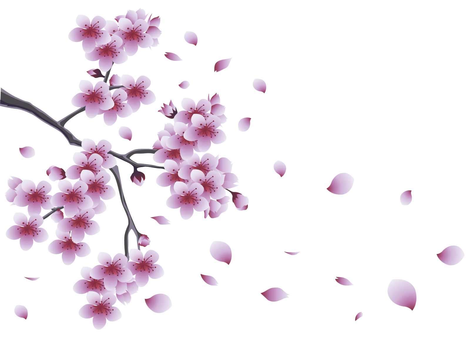 Spring Png Pic Transparent PNG Image