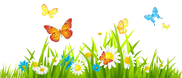 Spring Picture Transparent PNG Image