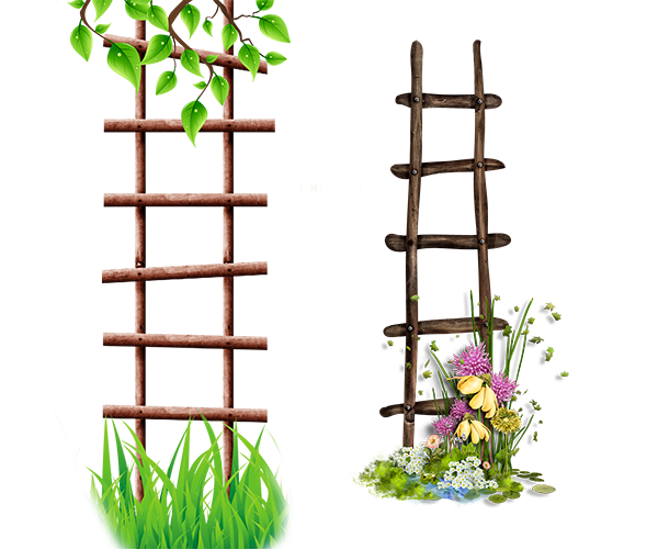 Ladder Flower Frame Albom Icon Free Download Image Transparent PNG Image