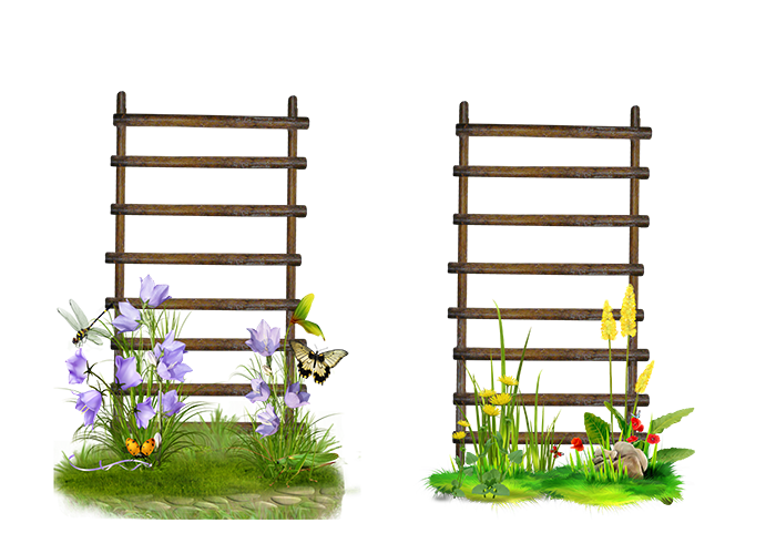 Ladder Frame Flower Stairs Garden PNG Image High Quality Transparent PNG Image