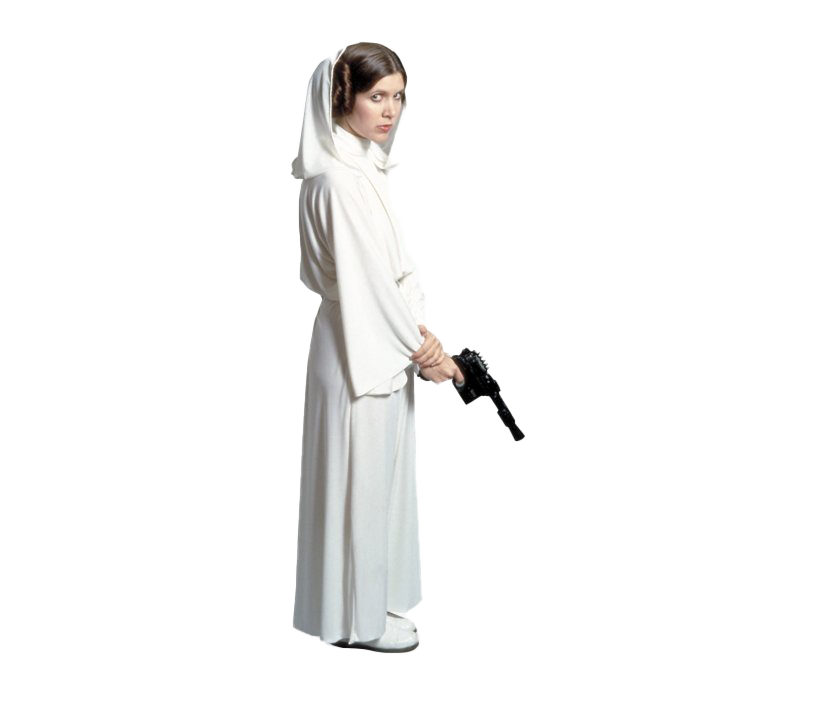 Leia Princess Free HQ Image Transparent PNG Image